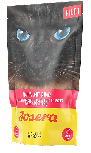 2e46c49479a036296ae13134a1c15566