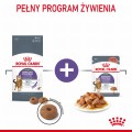 RC-FCN-AppetiteControlCare-CV-3-pl_PL.jpeg