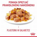 RC-FCN-AppetiteControlPouchJelly-CV-2-pl_PL.jpeg