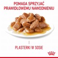 RC-FCN-DigestiveCarePouchGravy-CV-2-pl_PL.jpeg