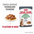 RC-FCN-DigestiveCarePouchGravy-MV-1-pl_PL.jpeg