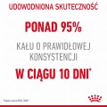 RC-FCN-DigestiveCarePouchGravy-MV-2bis-pl_PL.jpeg