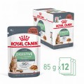 RC-FCN-DigestiveCarePouchGravy-MV-3-pl_PL.jpeg