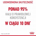 RC-FCN-DigestiveCare-CV-0-pl_PL.jpeg
