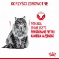 RC-FCN-DentalCare-CV-1-pl_PL.jpeg