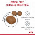 RC-FCN-DentalCare-CV-2-pl_PL.jpeg