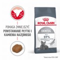 RC-FCN-DentalCare-MV-1-pl_PL.jpeg