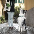myfamily-firenze-dog-collar-in-genuine-italian-light-green-leather (4).jpg