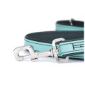 myfamily-firenze-dog-leash-in-genuine-italian-light-green-leather (2).jpg