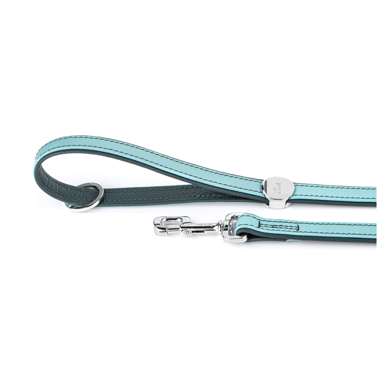 myfamily-firenze-dog-leash-in-genuine-italian-light-green-leather.jpg