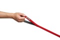 Web-40751-Front-Range-Leash-Red-Sumac-Hand.jpg