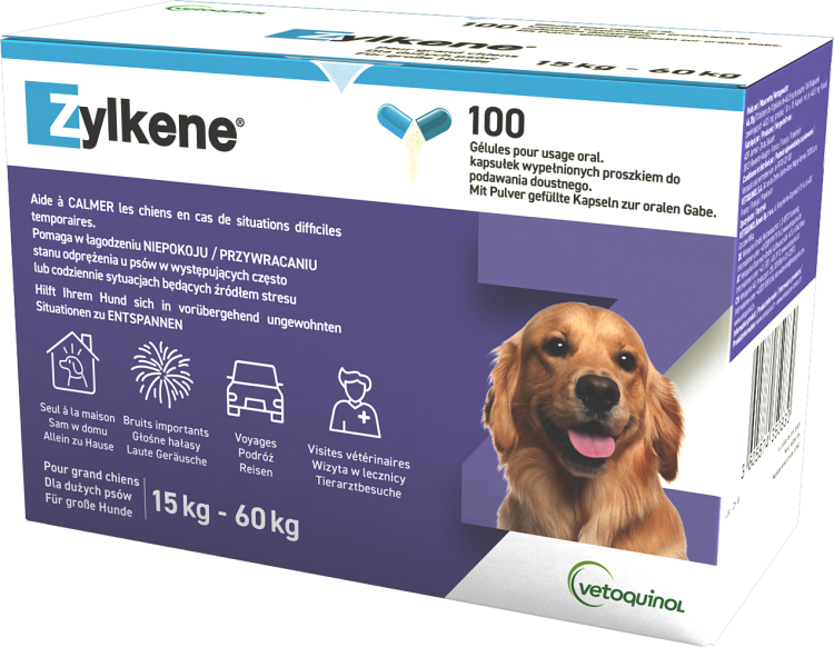 ZYLKENE 100 Capsule 450mg.png