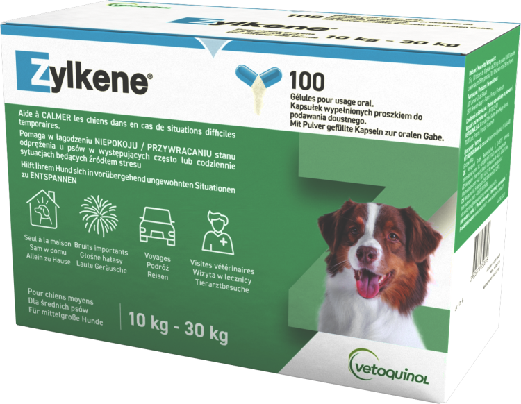 ZYLKENE 100 Capsule 225mg.png