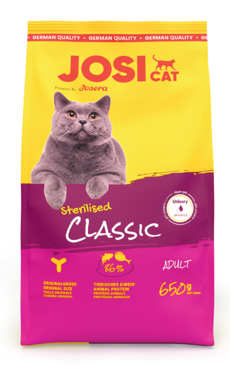 classic_650g_frontal.png