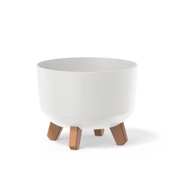 Gracia_Standard_DGRL240_S449.jpg