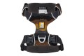 Web JPG-30503_Front-Range-Harness-Moonlight-Mountains_TOP_STUDIO.jpg