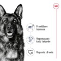 RC-SHN-MaxiAdult-Beef-CV-1-pl_PL.pdf.jpeg