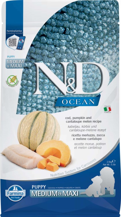 ND-Ocean-2.5kg-Cod-Pumpkin-Melon-Puppy-medmaxi[3D_Front]@print.jpg
