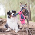 Floppy Knots Fox_3.jpg