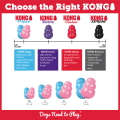 kong_puppy_3.png