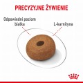 RC-SPT-DRY-LightWeightMAXI-CV-3-pl_PL.jpg