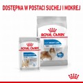 RC-SPT-DRY-LightWeightMAXI-CV-4-pl_PL.jpg