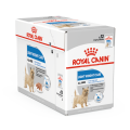 CCN18-LIGHT-BOX-85_S_C_Med._Res.___Basic.png