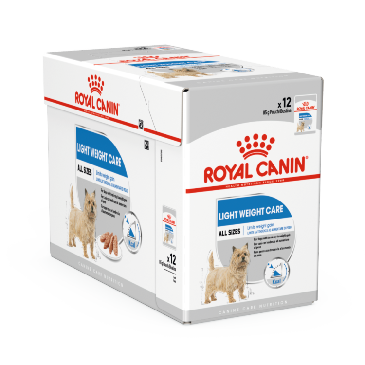 CCN18-LIGHT-BOX-85_S_C_Med._Res.___Basic.png