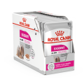 CCN18-EXIGENT-BOX-85_IN_O_Med._Res.___Basic.png
