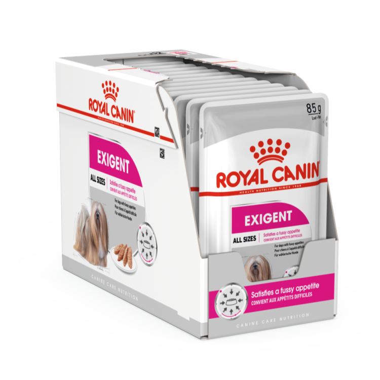 CCN18-EXIGENT-BOX-85_IN_O_Med._Res.___Basic.png