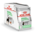 CCN18-DIGESTIVE-BOX-85_N_O_Med._Res.___Basic.png
