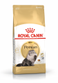 FBN2016_PACKSHOT_PERSIAN_ADULT_Med._Res.___Basic.png