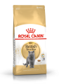 FBN2016_PACKSHOT_BRITISH_SHORTHAIR_ADULT_Med._Res.___Basic.png