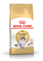 FBN2016_PACKSHOT_NORWEGIAN_FOREST_CAT_Med._Res.___Basic.png