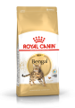 FBN2016_PACKSHOT_BENGAL_Med._Res.___Basic.png