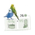8711304672719 puur budgie (2).jpg