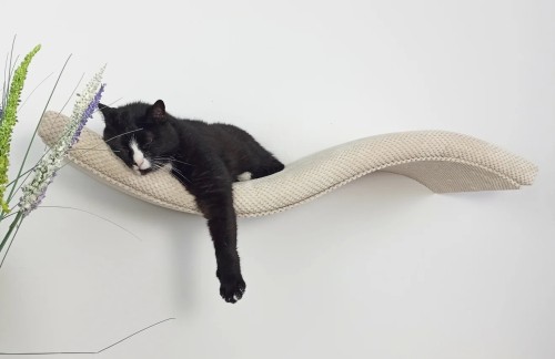 Cat's Atelier Półka ścienna dla kota wisząca FALA SL 95cm SH-M-W95SL