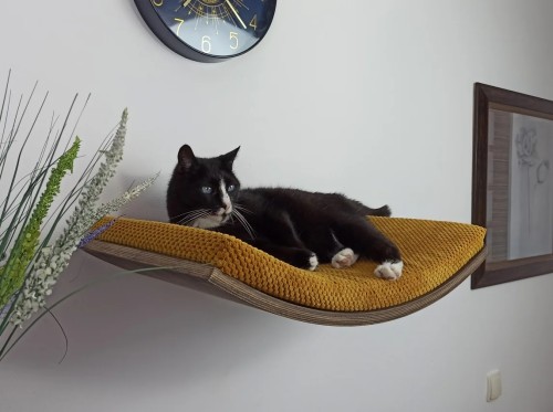 Cat's Atelier Półka ścienna dla kota wisząca ŁUK 60cm SH-W-A60