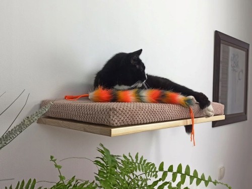 Cat's Atelier Półka ścienna dla kota wisząca PŁASKA 75cm SH-F75