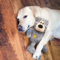Wild Knots Bear_3.jpg