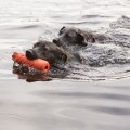 Training Dummy(1).jpg