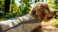 05403_SwampCoolerVest_KeyFeatures_ThreeLayerConstruction.jpg