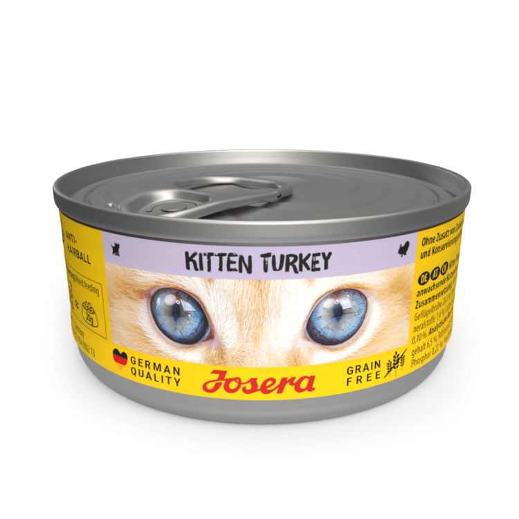 4032254778585_kitten_turkey.png