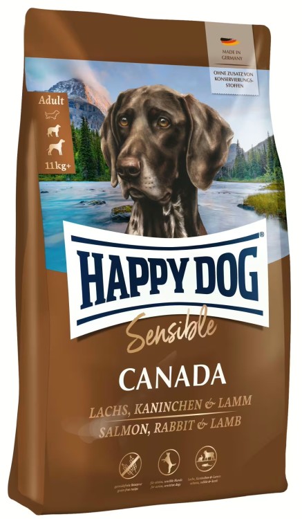 happy dog sensible canada.jpg