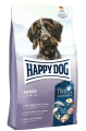 happy dog senior .png