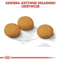 9775d029ac7de688ccc4218e70b1ee83