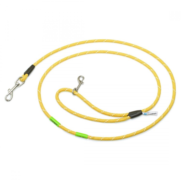 2d99d06a80655565646228e87944f542