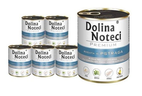 DOLINA NOTECI Premium PSTRĄG 12x800g