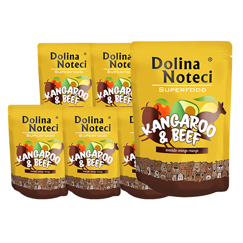 DOLINA NOTECI SuperFood Kangur i Wołowina 10x300g