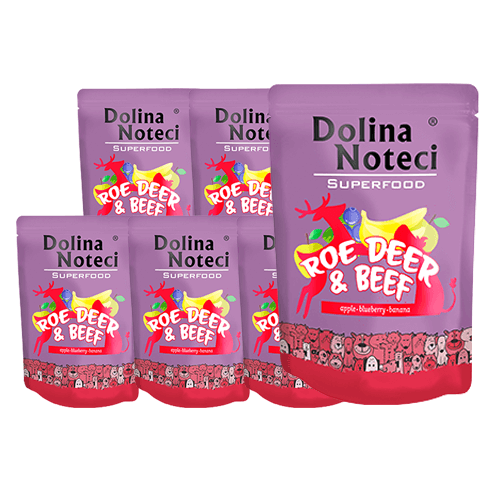 DOLINA NOTECI SuperFood Sarna i Wołowina 10x300g